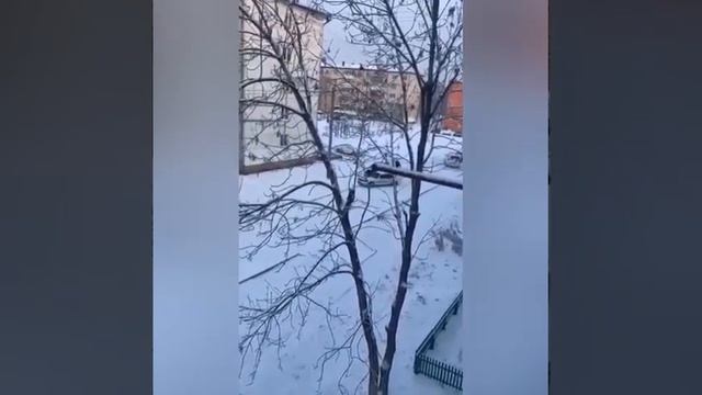 Павлодарские полицейские прокомментировали видео задержания с погоней и стрельбой смотреть онлайн