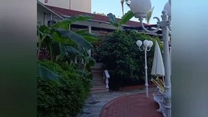 #отель Bieno Club SVS у бассейна