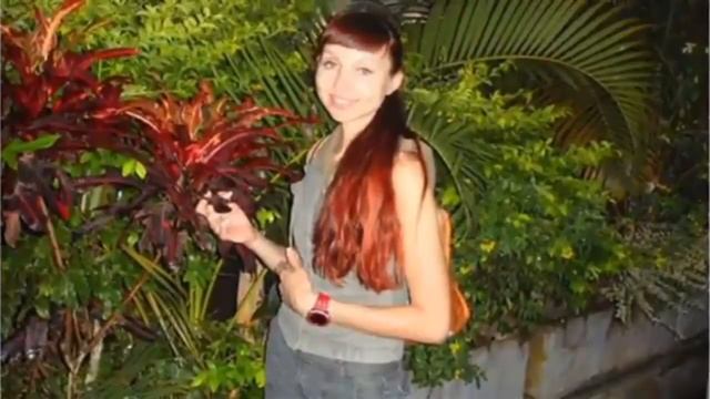 А это Африка смотреть онлайн