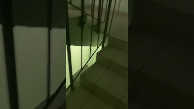 Обзор квартиры смотреть онлайн