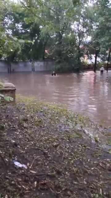 а#вы#куда#ездиете#отдыхать#курорт#магнитогорск#дорога#море#по#колено смотреть онлайн