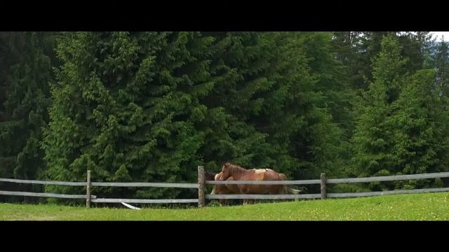 Еко-курорт "Хутір Тихий" - тут у дзвінкій тиші панує казка смотреть онлайн