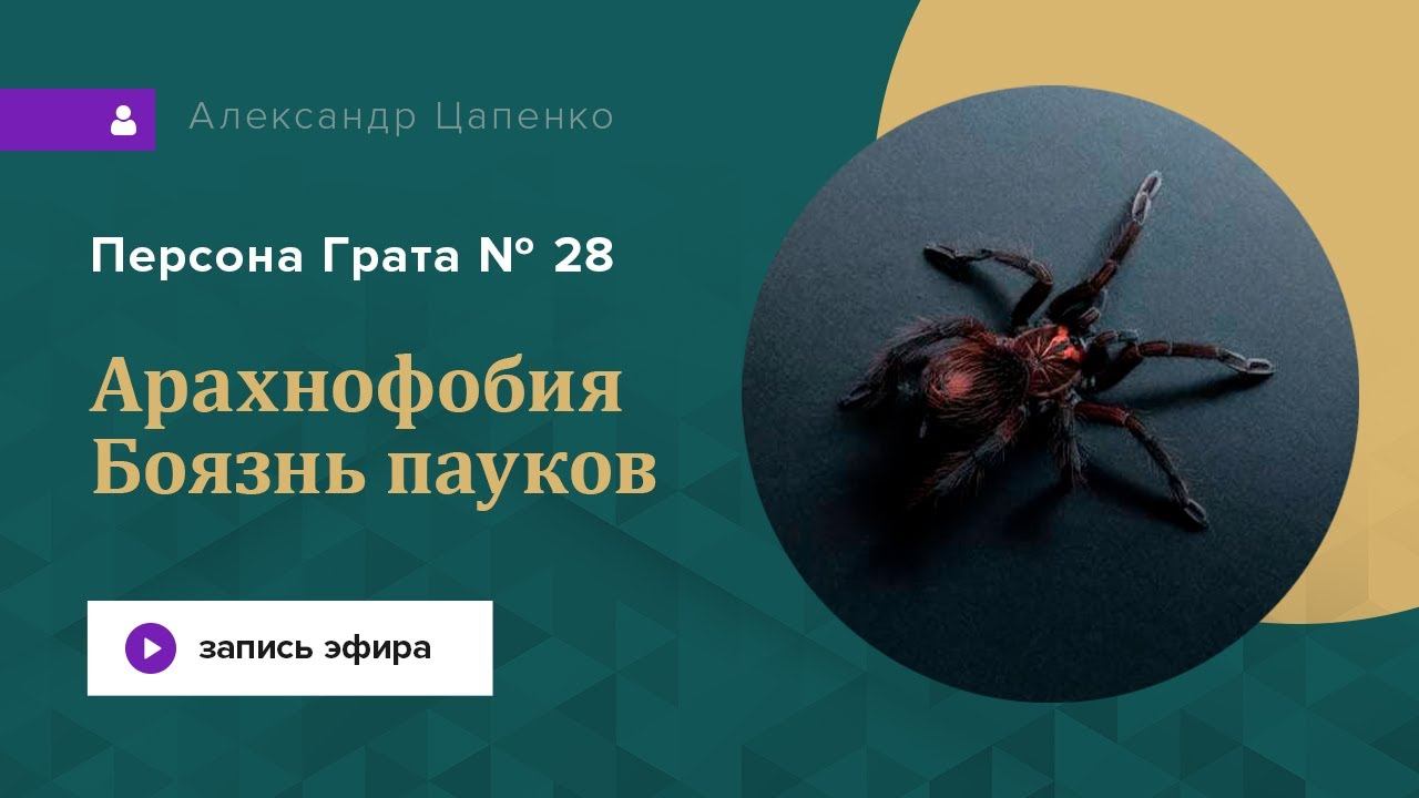 Арахнофобия. Боязнь пауков.