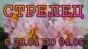 СТРЕЛЕЦ таро прогноз на неделю с 28 АПРЕЛЯ по 4 МАЯ 2025 года.