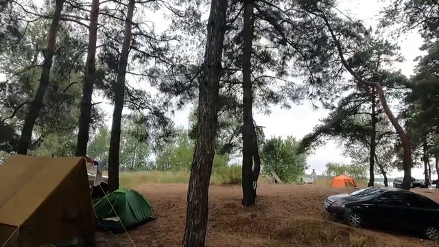 Обзор кемпинга в котором мы живём Переполненный Сосновый лес 🌳 Озёрные хроники (18)