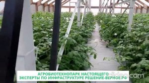 Агробиотехнопарк будущего 1007