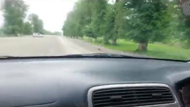 Жалал-Абадская Колледж Группа БЭК-2-12 смотреть онлайн