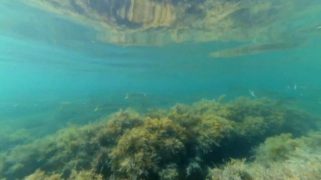 Бетта. Внезапно смотреть онлайн