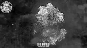 Хохол в кустиках не спрячешься от неминуемой гибели