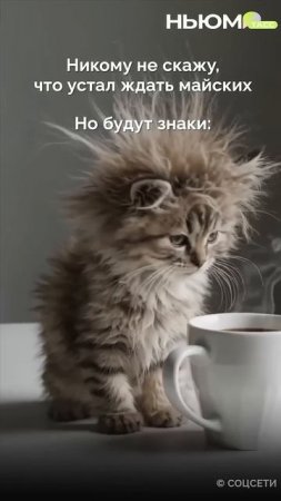 Продолжаем серию предпраздничных мемов. Считаете дни до майских?