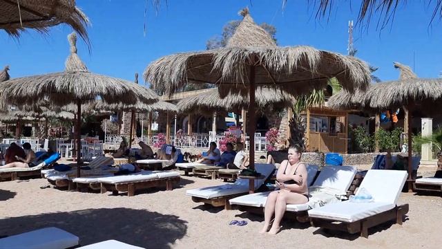 Египет. Бухта Шаркс . Шарм эль шейк смотреть онлайн