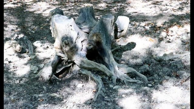 над Байдарской с Востока смотреть онлайн