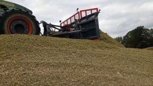 Заготовка кукурузного силоса в Германии | Новый трактор у ШЕФА