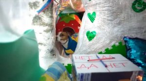 Смотрим как Элли Ди вызывает духов Чярли