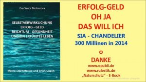 Sia Chandelier (Official Video) von Sia Vero °danke