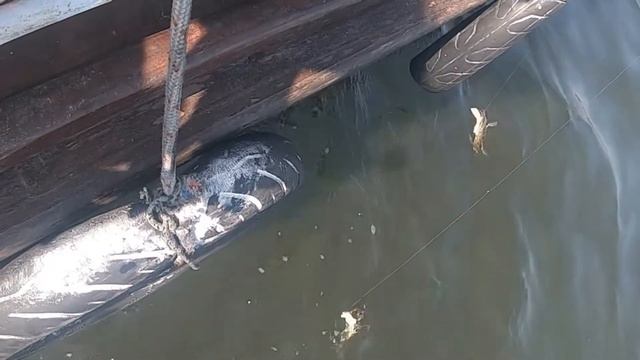 Дальян. Экскурсия 26.08.2021. Часть 3. смотреть онлайн