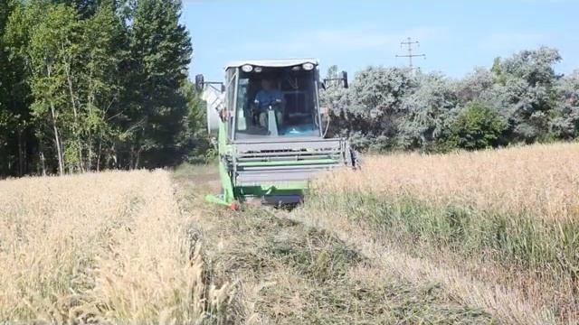 Ученые НПЦЗХ им. А.И. Бараева проводят большую работу над созданием прочной кормовой базы. смотреть онлайн