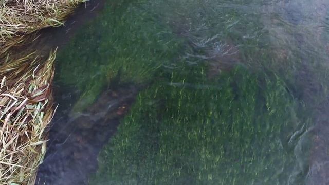 Дыхание осени. Full HD смотреть онлайн