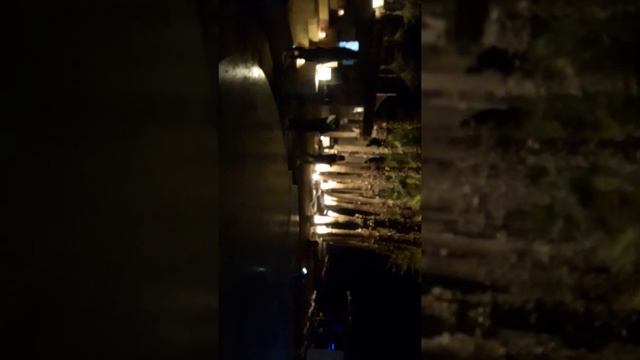 Гранд ротана шармальшейх