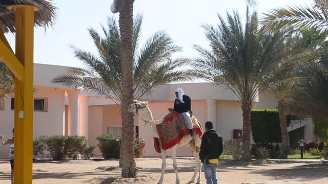 Египтянин поет русские песни смотреть онлайн