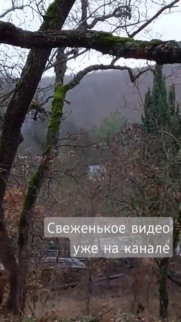 поход с детьми по Крыму. свежий анонс! #походыпокрыму #походысдетьми #зимавкрыму