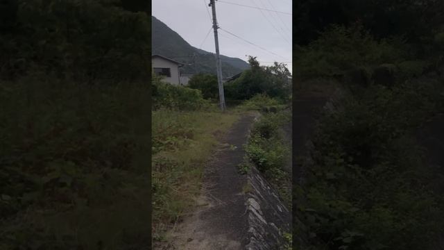 Утренняя прогулка по городку Клифсайд Харбор перед поездкой на пароме. Шодошима, Япония. 4К