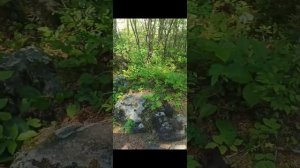 Лето, отдых, июнь, жара😇Аршан, Бурятия❤
