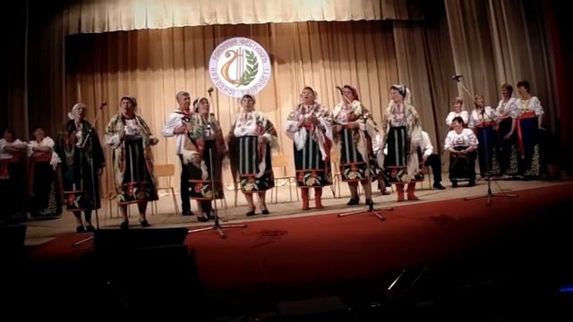 УКРАЇНСЬКА НАРОДНА ПІСНЯ "БУЗИНА"