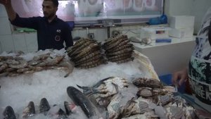 Рыбный рынок в Аджмане, ОАЭ - Ajman FishMarket in UAE