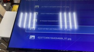 Телевизор витязь