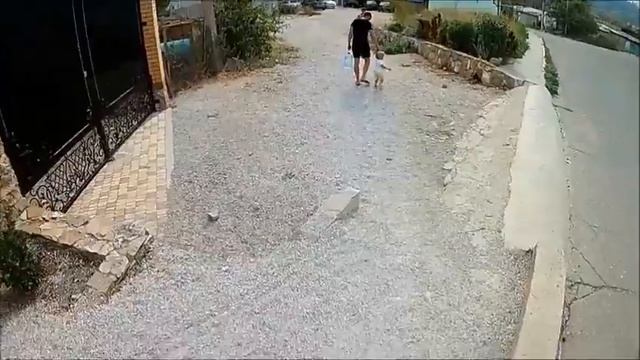 5 минут счастья(#4)Щепетовка_кони_Крым2016 смотреть онлайн