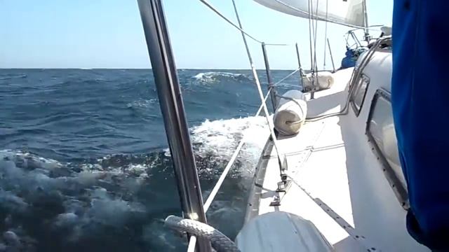 Sailing on Lake Ontario смотреть онлайн