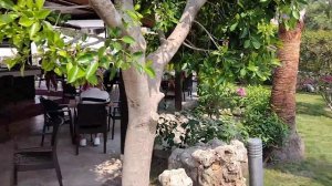 ALBA ROYAL HOTEL 5  Сиде, Турция  16+ - басейнът и градината (Инфотур TEZ TOUR)