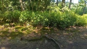 ОЗЕРО "СВИТЯЗЬ"! ШИКАРНАЯ ЖЕМЧУЖИНА БЕЛАРУСИ! LAKE SVITYAZ! A GORGEOUS PEARL OF BELARUS!