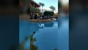 Ghazala Gardens 4* Шарм Ель шейх