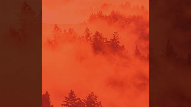 Видения (Рестораны) смотреть онлайн