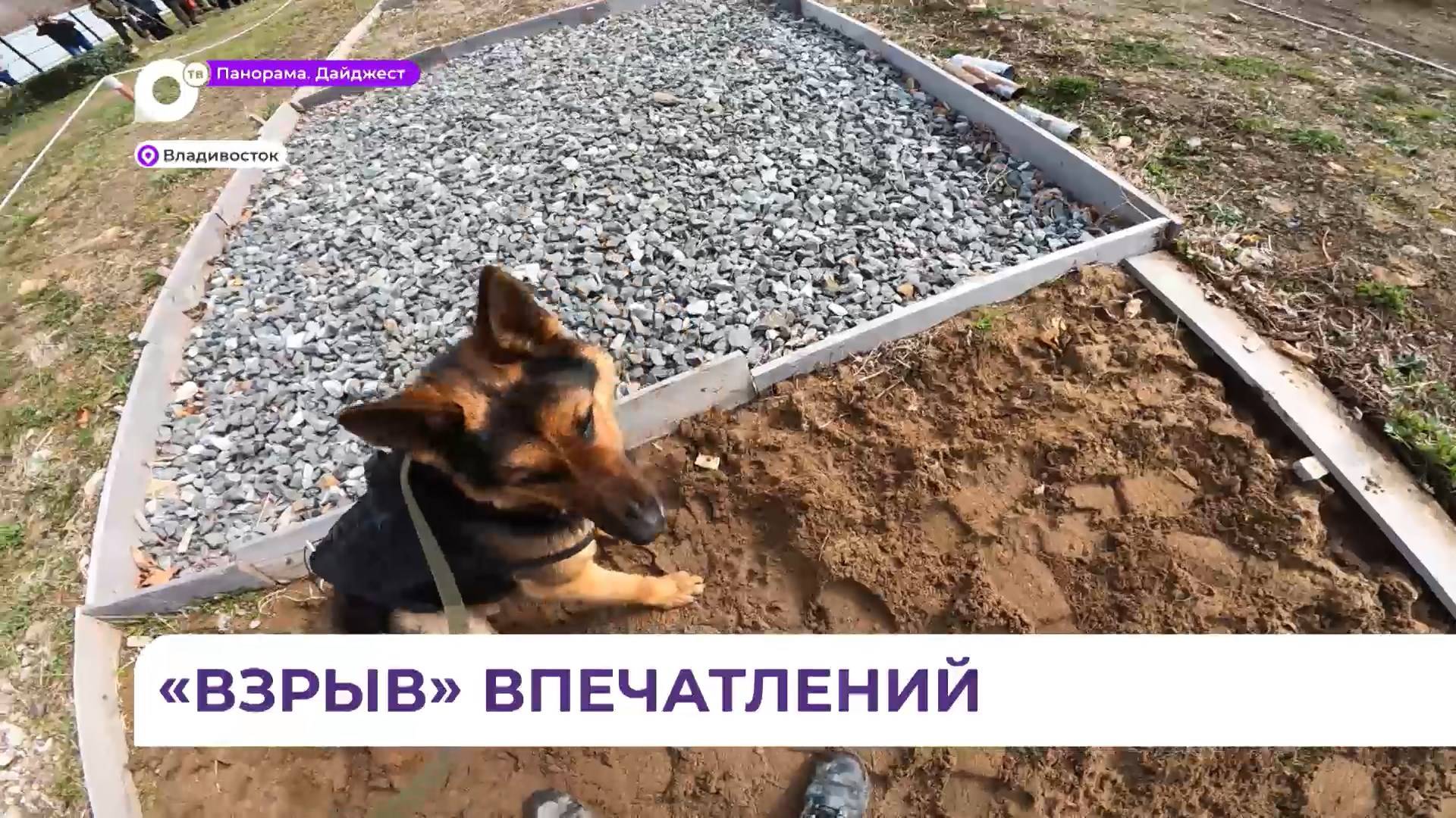 Праздник «Слава защитникам, слава героям» прошёл во Владивостоке