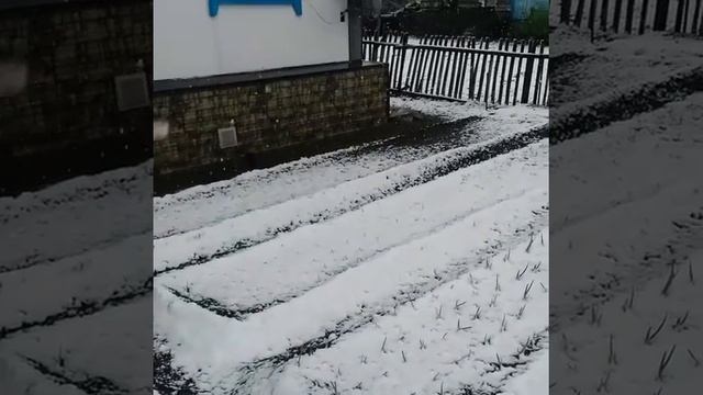 27 мая 2018г. г.Щучинск Казахстан смотреть онлайн