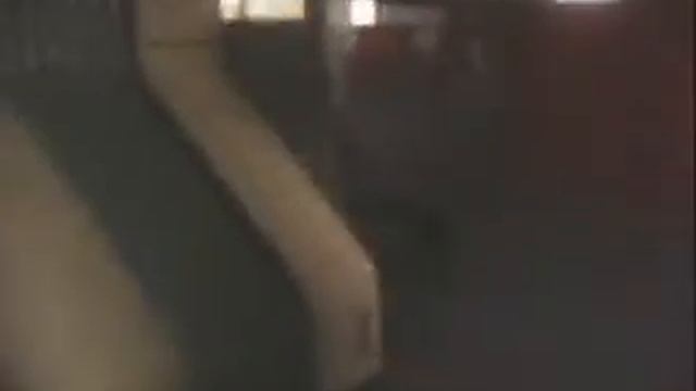 Городские линии. Мой первый догфильм. смотреть онлайн