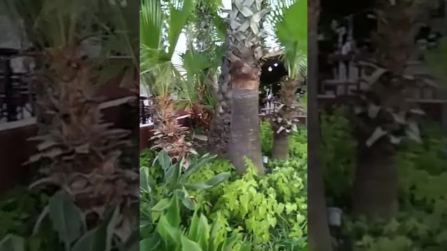 Территория Larissa akman park смотреть онлайн