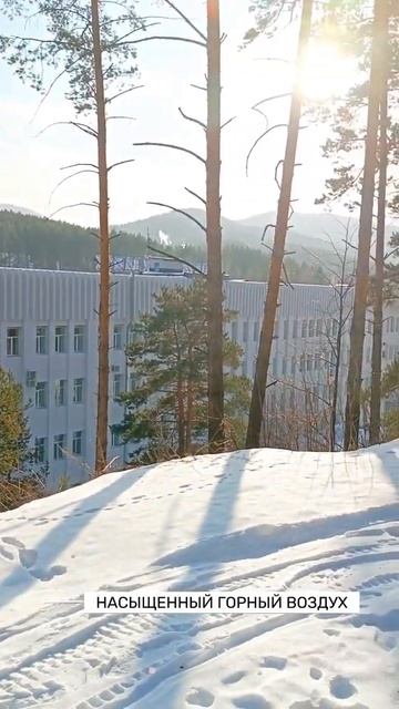 Прогулка у санатория "Алтайский замок" #алтай #алтайскийзамок #терренкур #санаторий #белокуриха смотреть онлайн