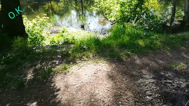 По дороге с Автотехникума на Большевик ))) смотреть онлайн