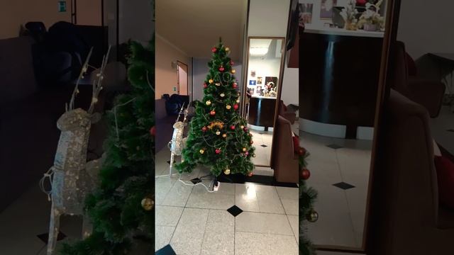 Отель Плаза Волгоград. Скоро Новый год. 27.12.23 смотреть онлайн