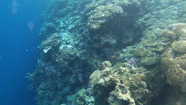 ПИРС Charmillion Club Resort. Март 2024 года смотреть онлайн