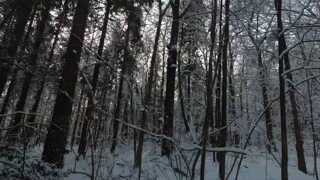 Зима в Зеленом городе 01 смотреть онлайн