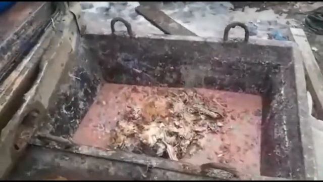 #Будни_на_ферме#опилки# столовая#отходы#дядя_Саша# смотреть онлайн