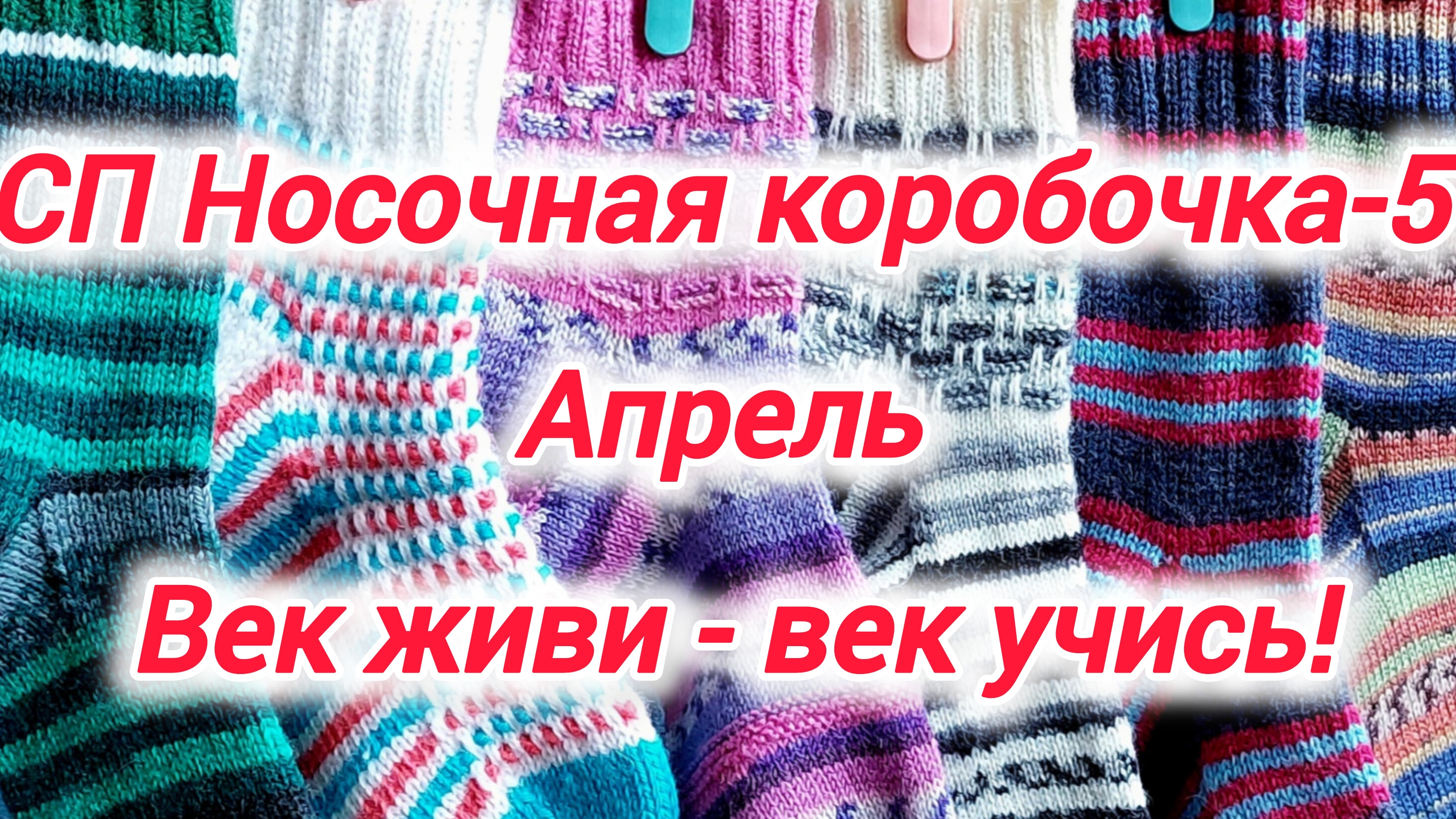 СП Носочная коробочка-5 Апрель. Готовые носочки из Regia и Alize Wooltime - "Век живи, век учись".