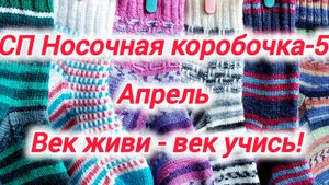 СП Носочная коробочка-5 Апрель. Готовые носочки из Regia и Alize Wooltime - "Век живи, век учись".
