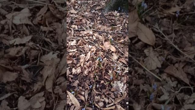 1000322502.mp4 НАЛЬЧИК
 март 2024. Прогуки по окрестностям