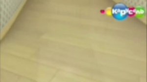 Вырезный фрагмент из барбоскины